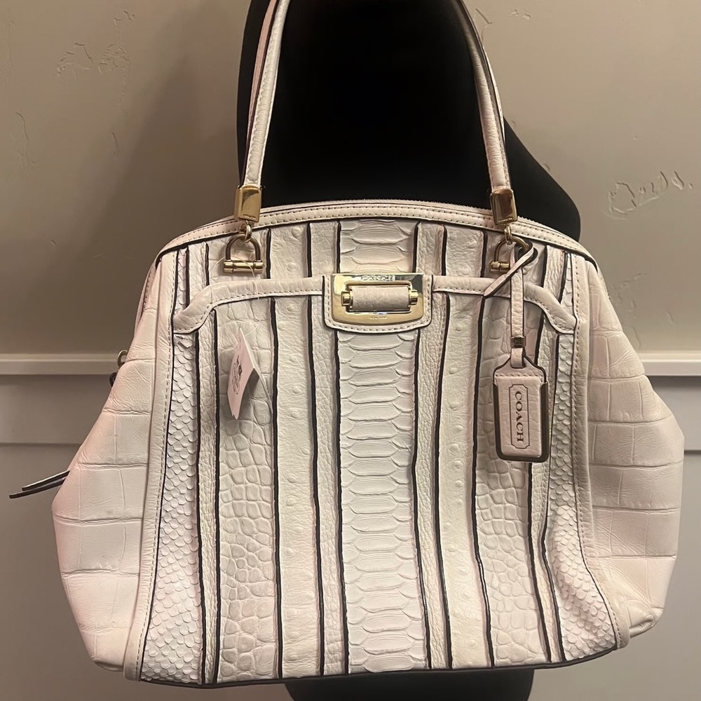 Coach Madison Domed Satchel in Exotic Stripe Leather